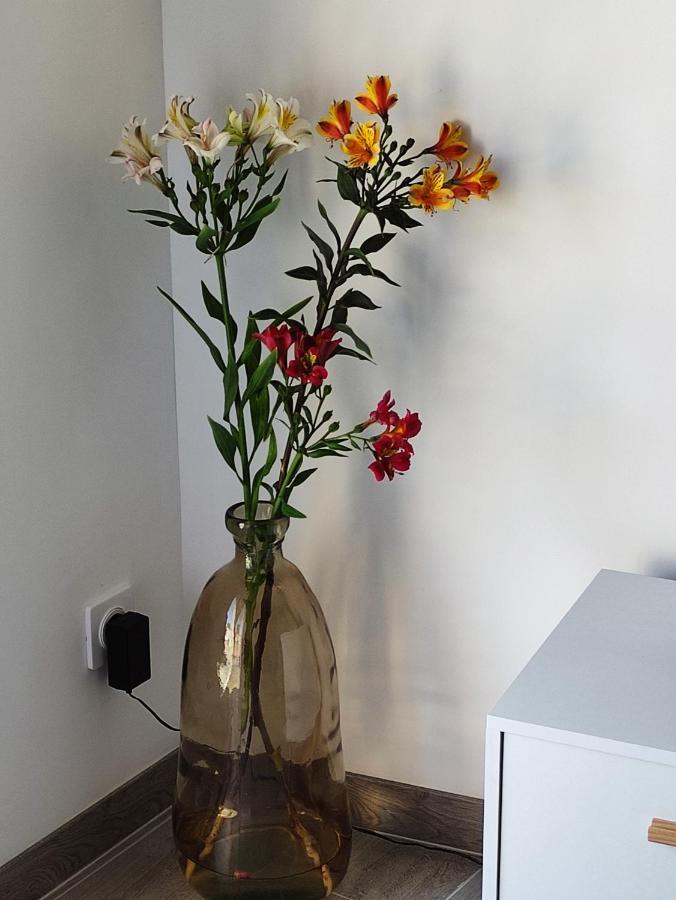 Au Plaisir De L'Ivoie Chambre Double Le May-sur-Evre ภายนอก รูปภาพ