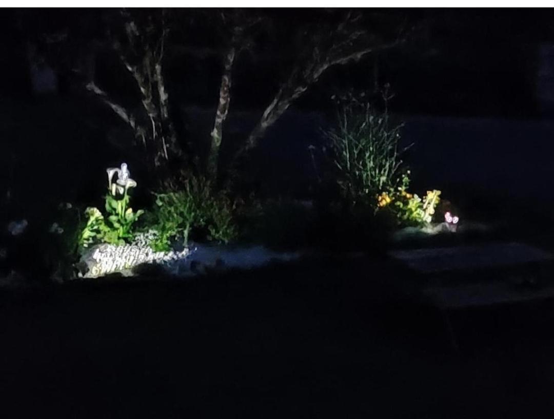 Au Plaisir De L'Ivoie Chambre Double Le May-sur-Evre ห้อง รูปภาพ